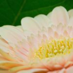 嘉亿娱乐的独特魅力与无限可能性分析 g73scr3ebx