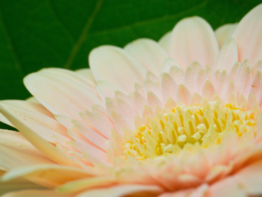 嘉亿娱乐的独特魅力与无限可能性分析