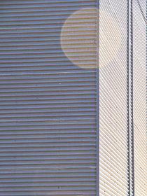 和记娱情的未来展望:迎接数字化时代的挑战与机遇