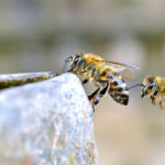 17193期任九开奖结果揭晓,大奖花落谁家? 2xc0ucydbx