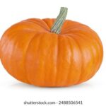 17166期开奖结果查询与最新中奖号码公布 3ydk6