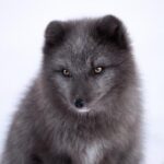 3d139期历史开奖号码详细回顾与数据分析 4s2f0