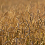 17307期最新开奖结果查询与中奖号码公布 fqegjzj6k