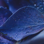 17192期足彩开奖结果最新公布与奖金分配详情 fxezyw2