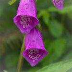 17188期任九开奖结果揭晓,大奖花落谁家? g0pwrfejnz