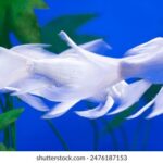 17232期开奖号揭晓:最新中奖号码及结果查询 kc6xpx