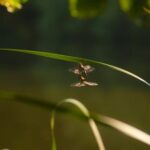 17350期最新开奖结果查询与中奖号码公布 kml6gh