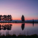 17184期体育彩票开奖结果查询与最新公布 skz0mm