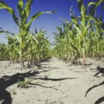 171863d开奖结果查询与最新开奖信息公布 voxv465ms