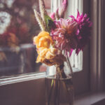 3D146期最新开奖结果查询与详细数据分析 y22lpdj