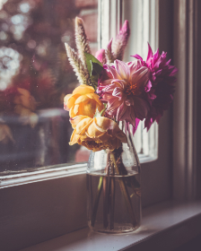 3D146期最新开奖结果查询与详细数据分析 3D146期最新开奖结果查询与详细数据分析